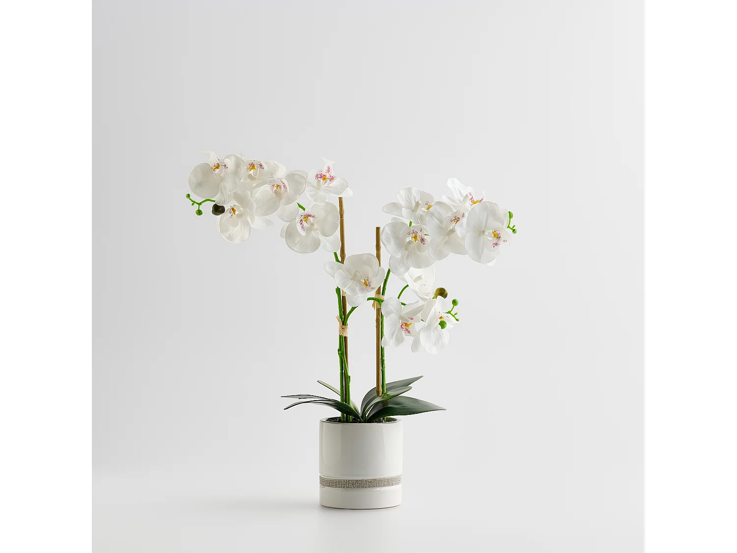 Composition Décorative Orchibitto new Blanc Moyen 50 x 21 x 40