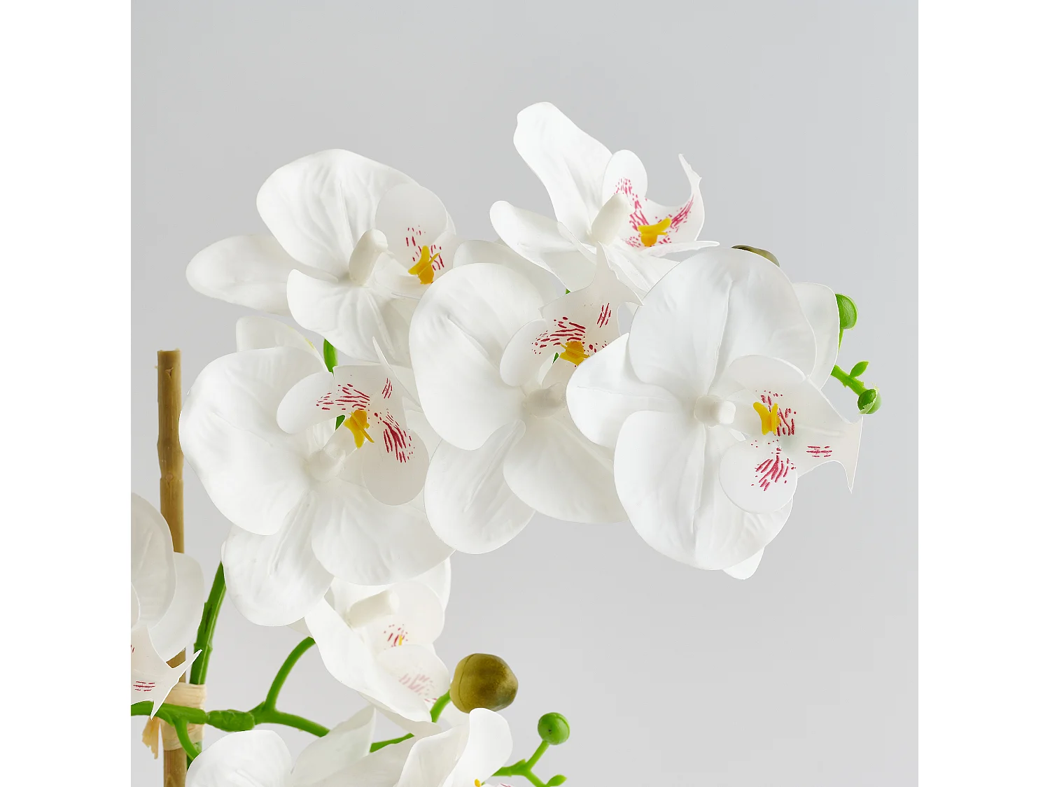 Composition Décorative Orchibitto new Blanc Moyen 50 x 21 x 40