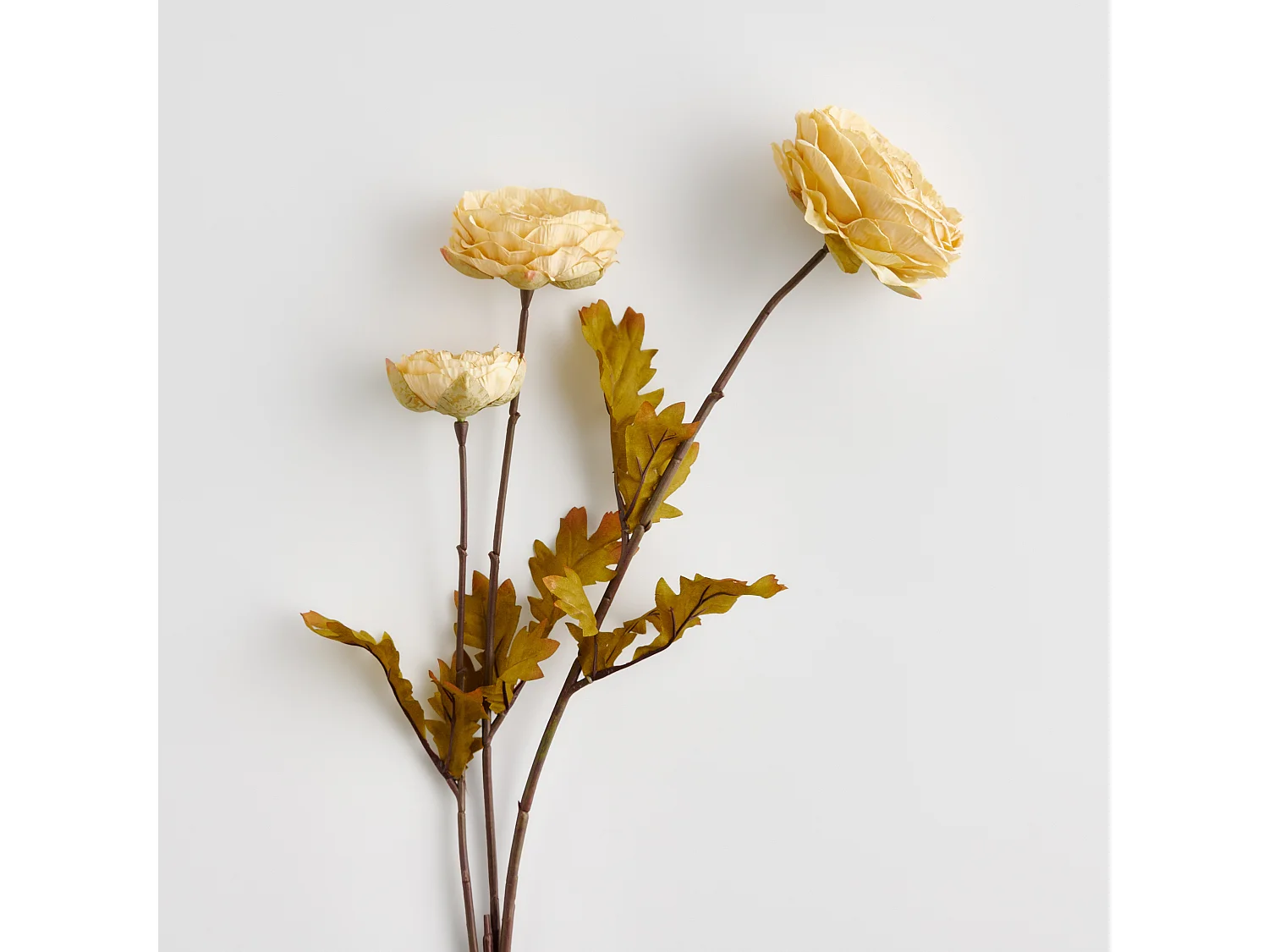 Blume Dalias hellbeige Kunststoff 10x21x77