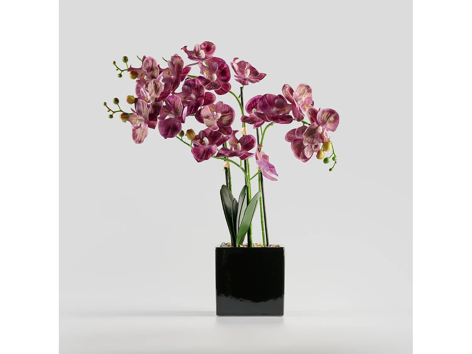 Composition Décorative Florettis Violet Moyen 65x20x48