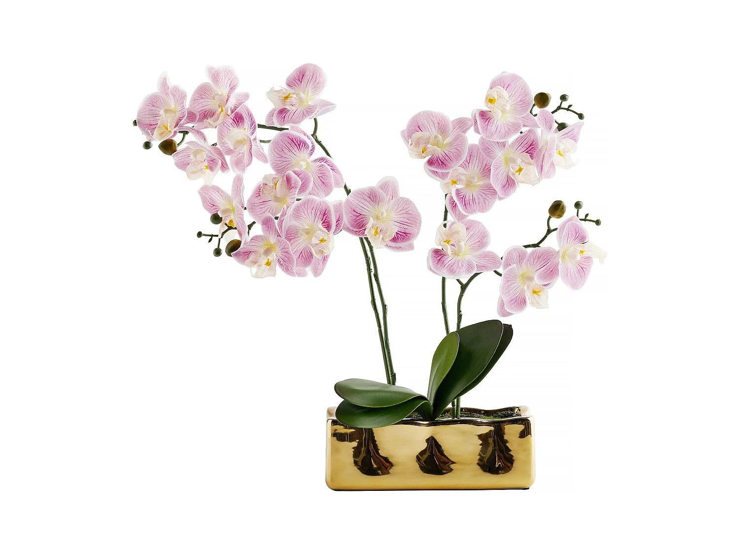 Composition Décorative Orchianum Violet Foncé 49x13x46