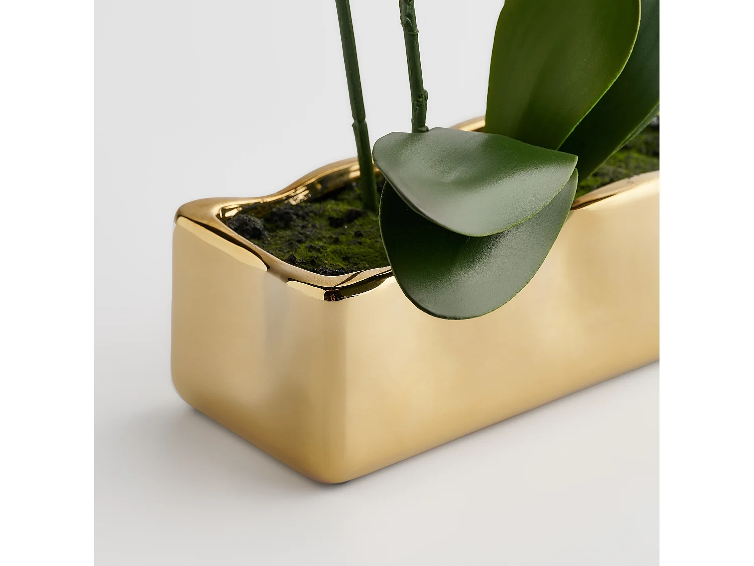 Composition Décorative Orchianum Violet Foncé 49x13x46