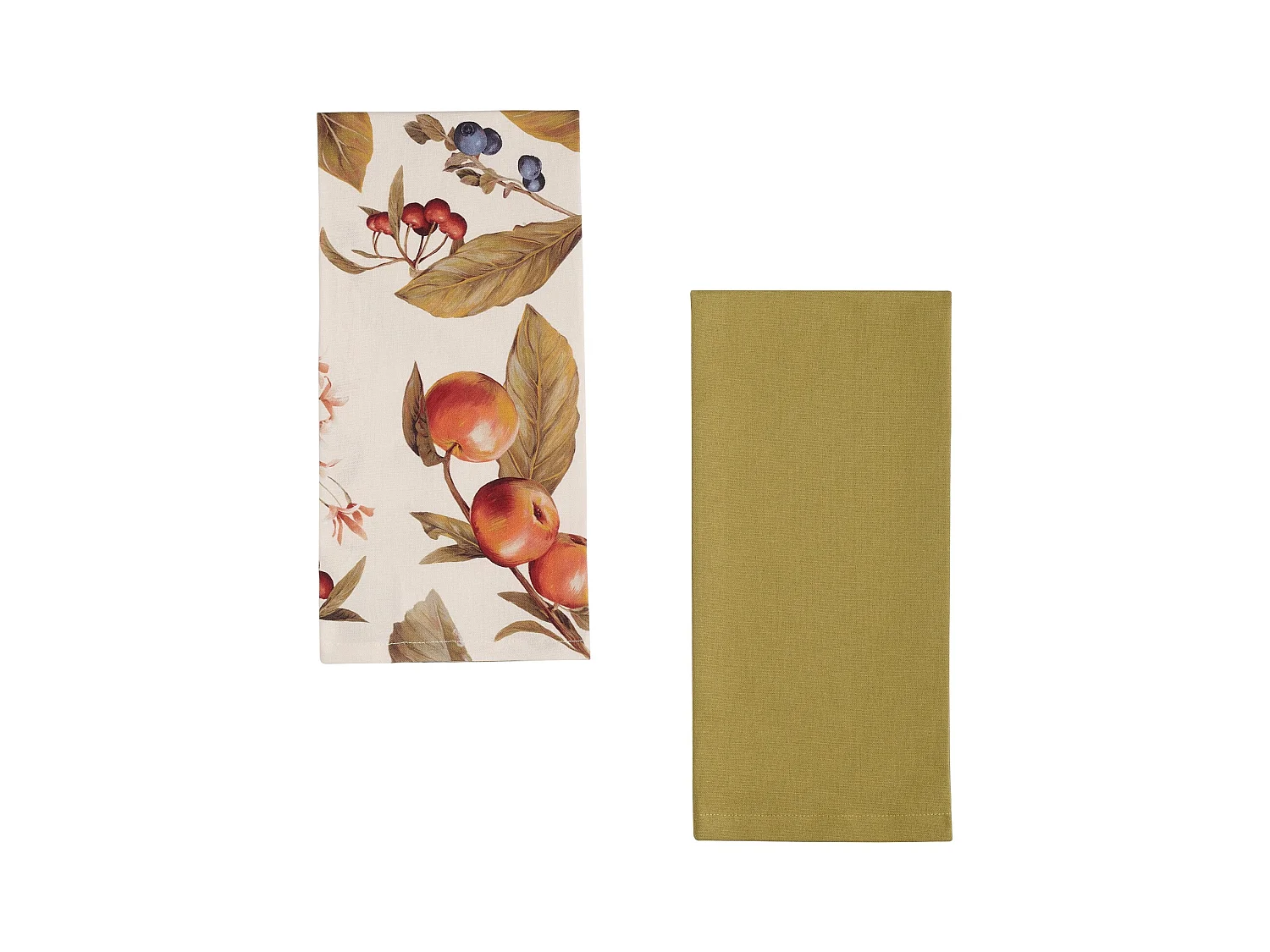 Geschirrtuch-Set Rapio Beige 45x65 cm