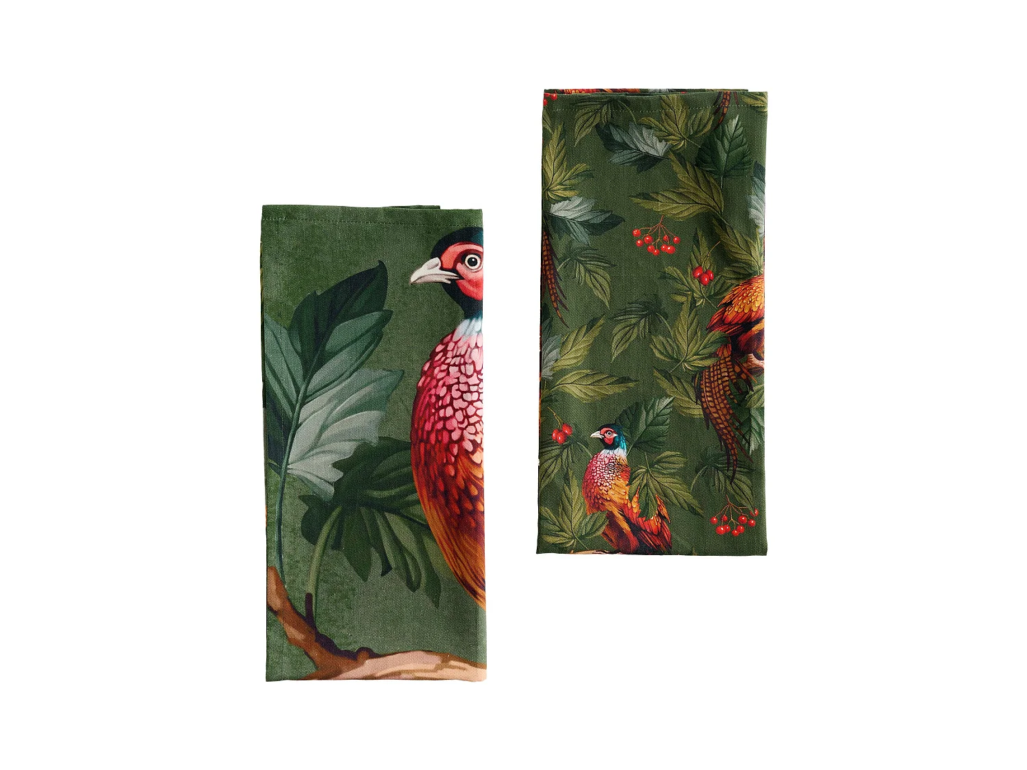 Ensemble De Torchons Bazanti Vert Foncé 45x65