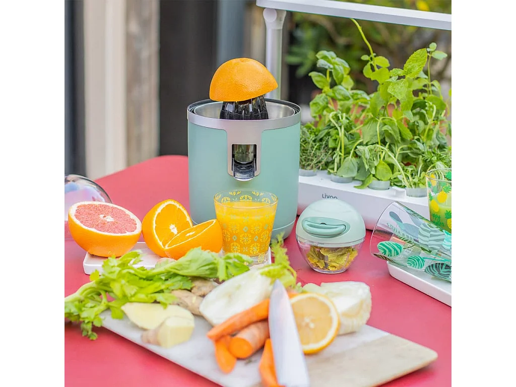 Livoo Presse agrumes électrique 400 ml 70 W Vert