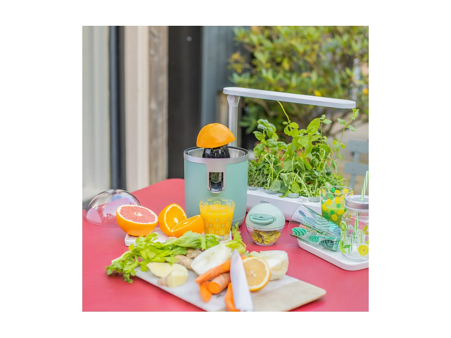 Livoo Presse agrumes électrique 400 ml 70 W Vert