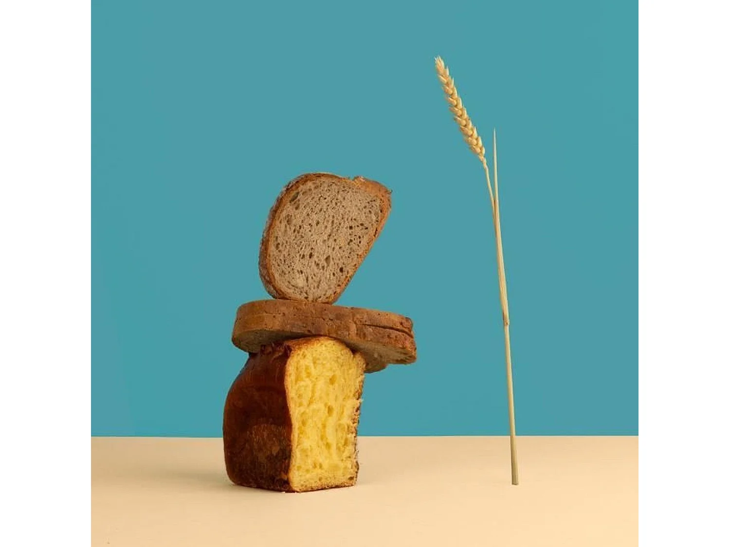 H.KoeNIG BAKE340 - Machine a pain avec graines - 12 programmes - 3 niveaux de cuisson - 550W - 2 tailles: 650 ou 800g - Ecran LC