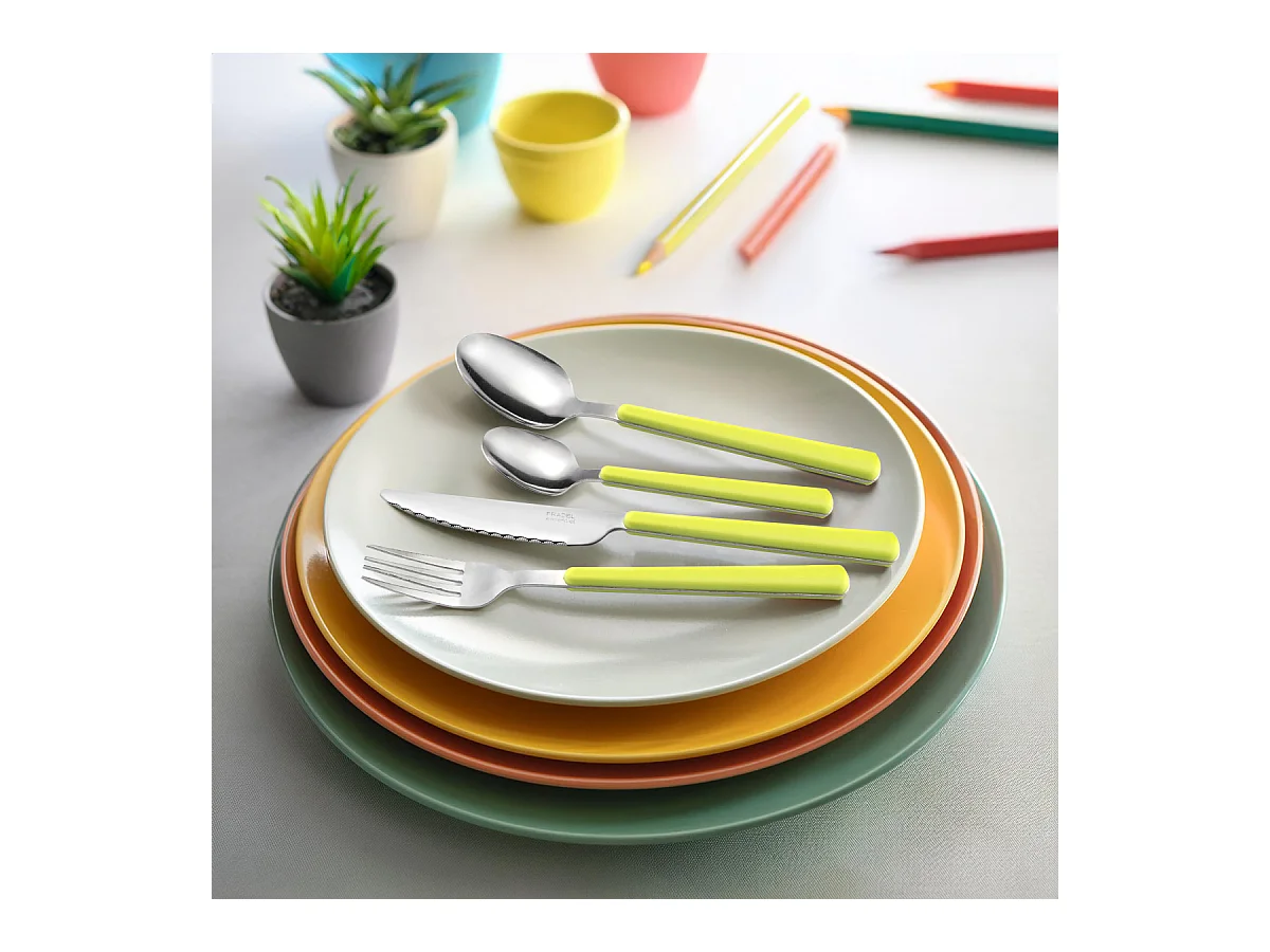 Tonic Vert Anis - Coffret 24 pièces