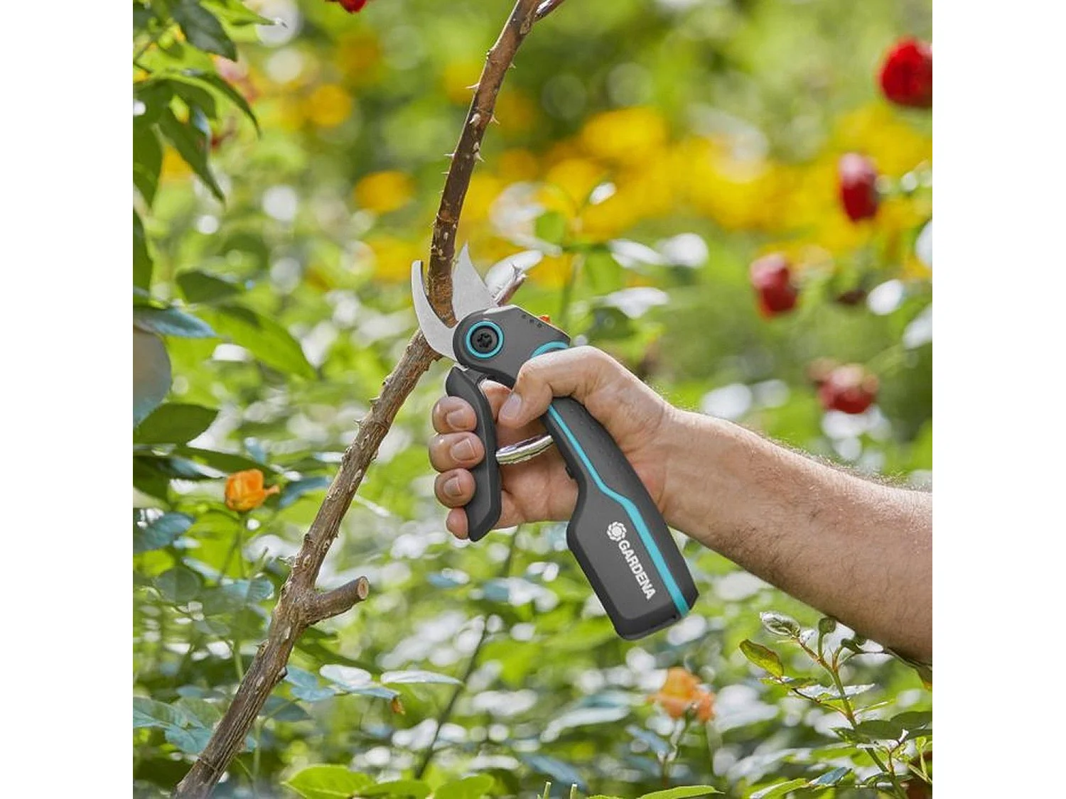 Sécateur AssistCut - 12222-20