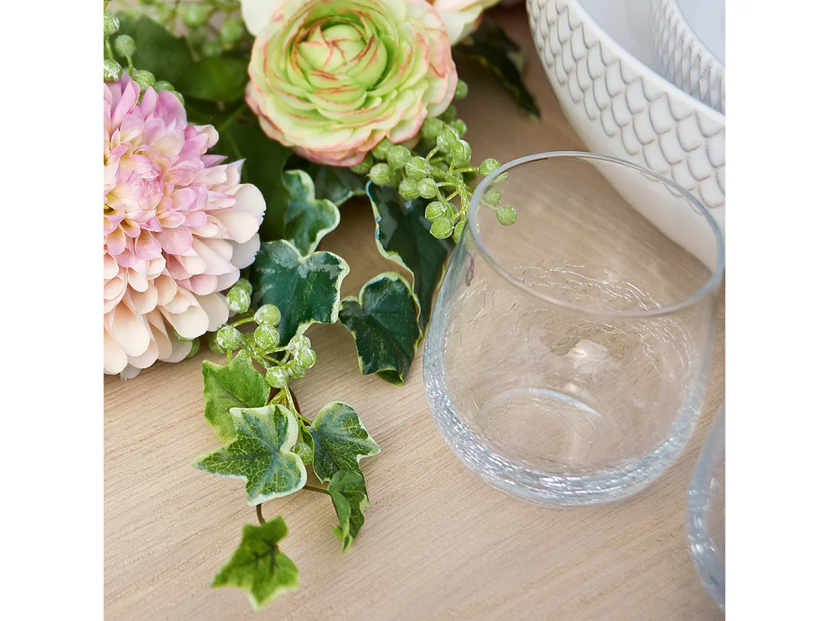 Verres à Eau Alba - Transparent