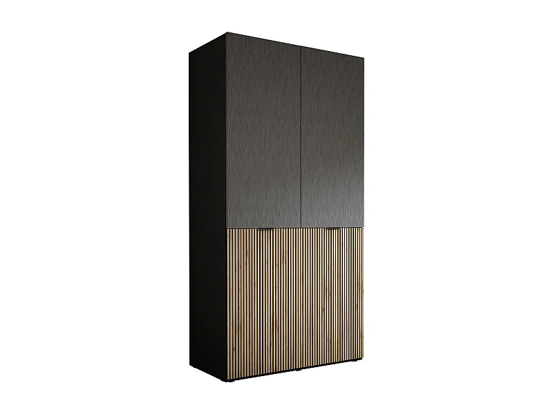 Kleiderschrank: Graphitschwarz / Wotan-Eiche, 100 x 200 x 51 cm