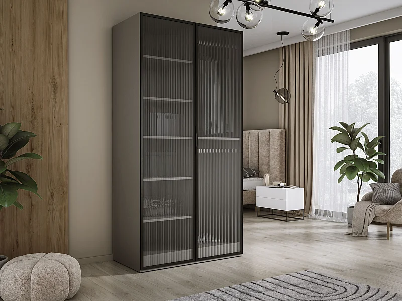 Kleiderschrank, Platingrau / klares Glas, 100 x 200 x 51 cm