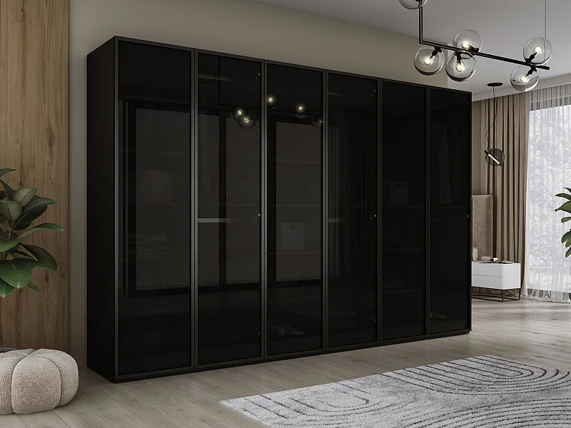 Kleiderschrank, Graphitschwarz, 3 x 100 x 200 x 51 cm