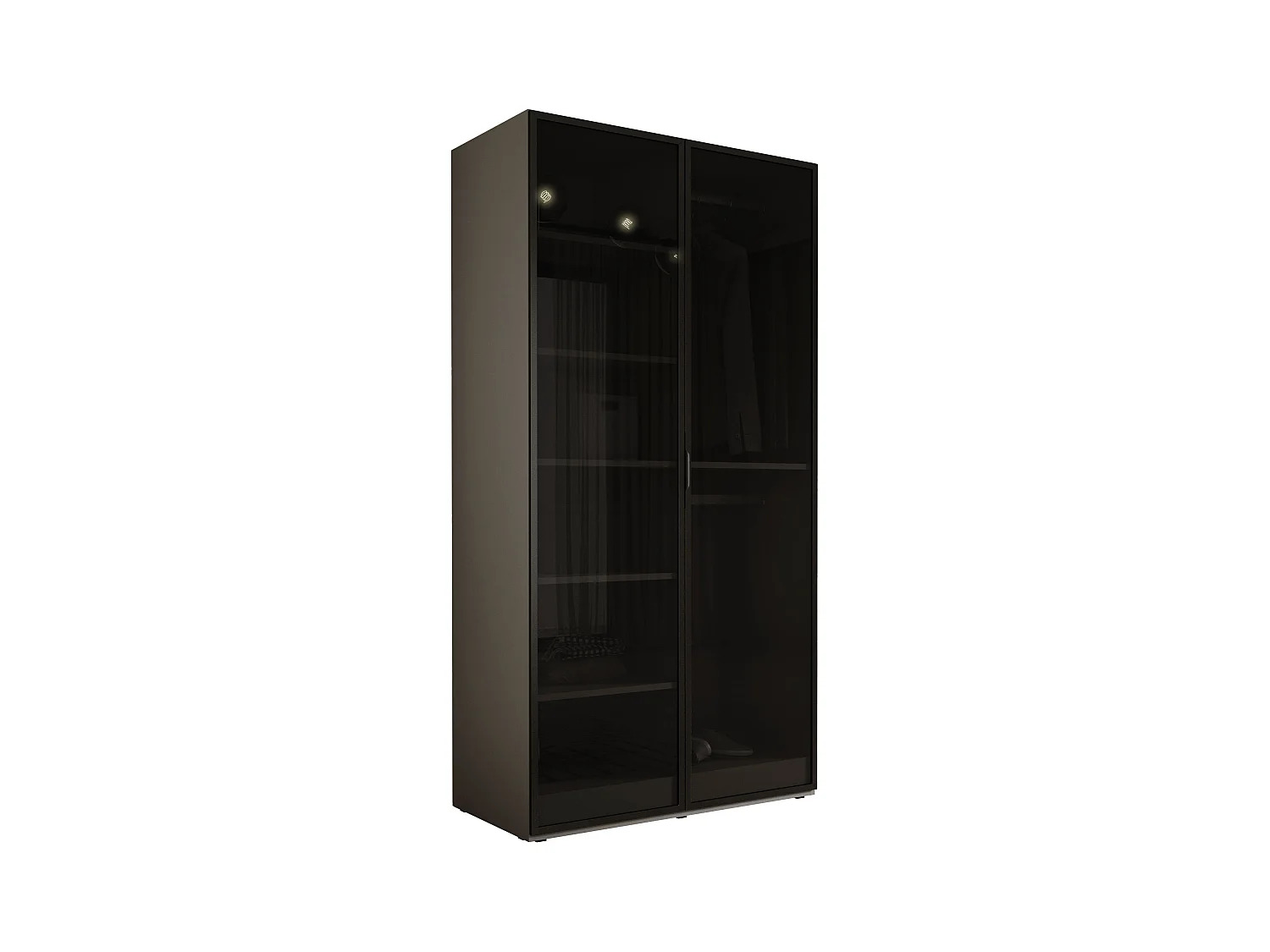 Kleiderschrank, Platingrau, 100 x 200 x 51 cm