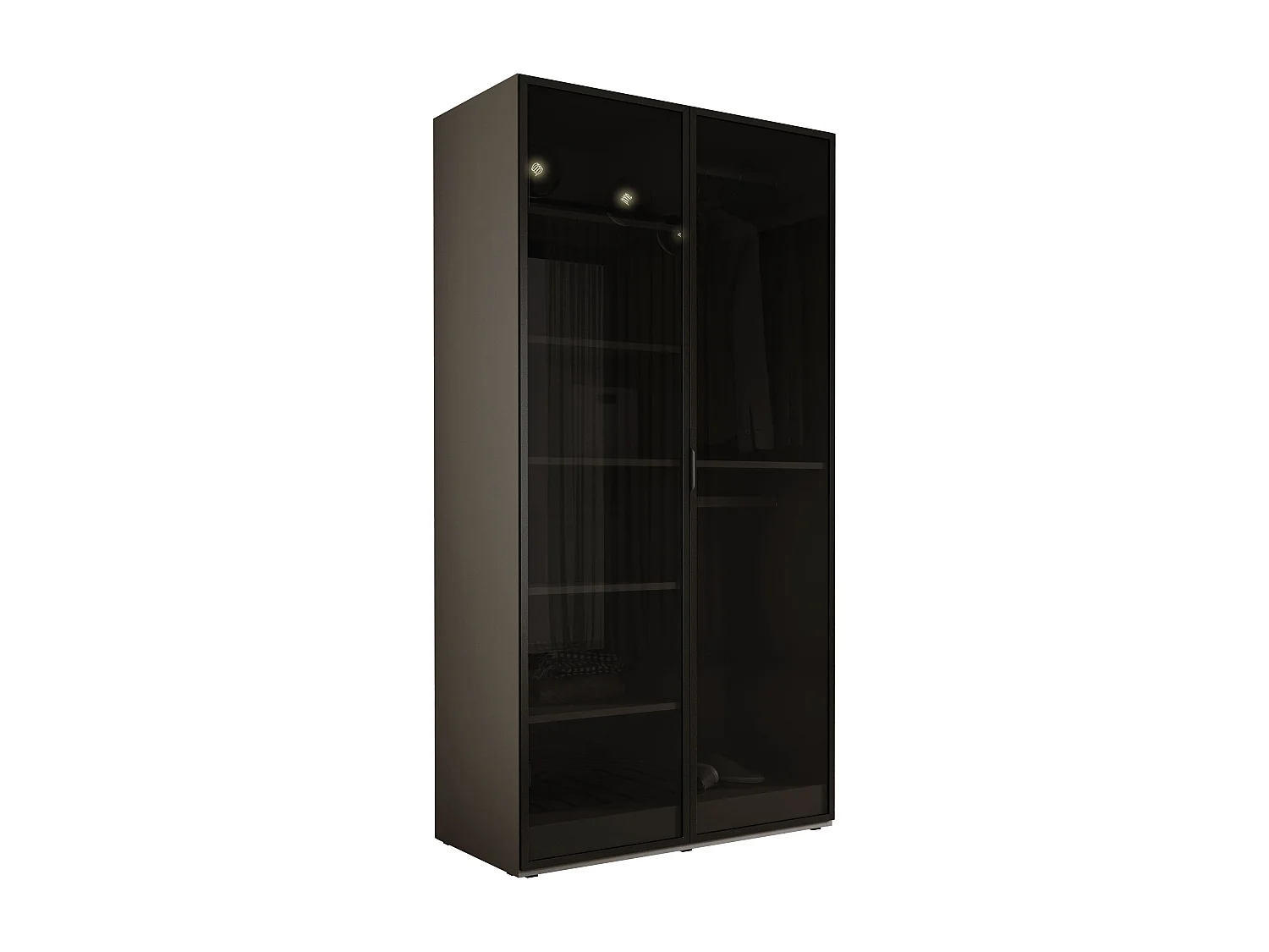 Schrank: Platingrau / Anti-Sonnenschutzglas, 100 x 200 x 51 cm