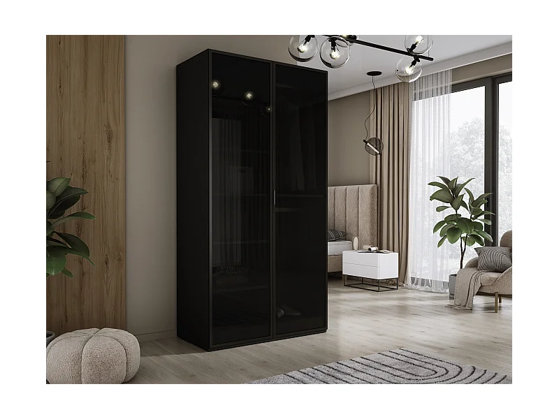 Kleiderschrank, Graphitschwarz, 100 x 200 x 51 cm