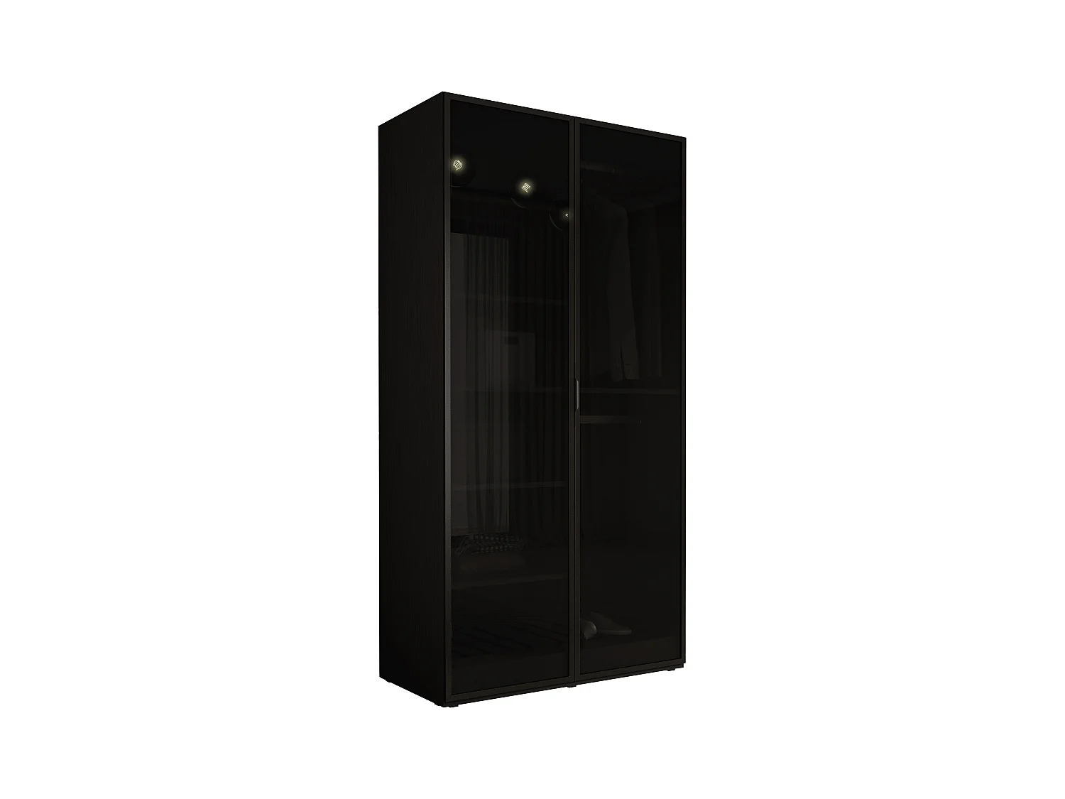 Kleiderschrank, Graphitschwarz, 100 x 200 x 51 cm