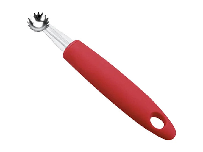 Vide tomates ustensile