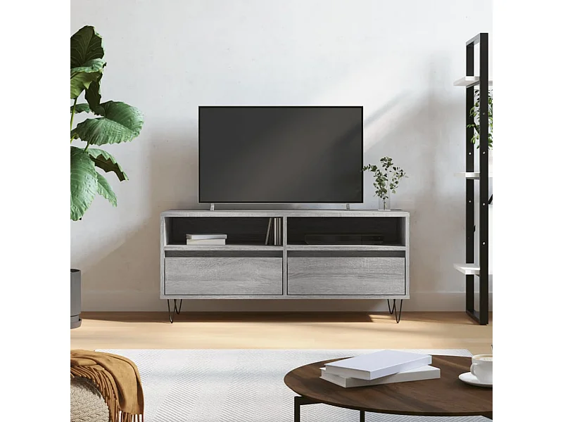 Mueble de TV | Mueble de salón madera contrachapada gris Sonoma 100x34,5x44,5 cm