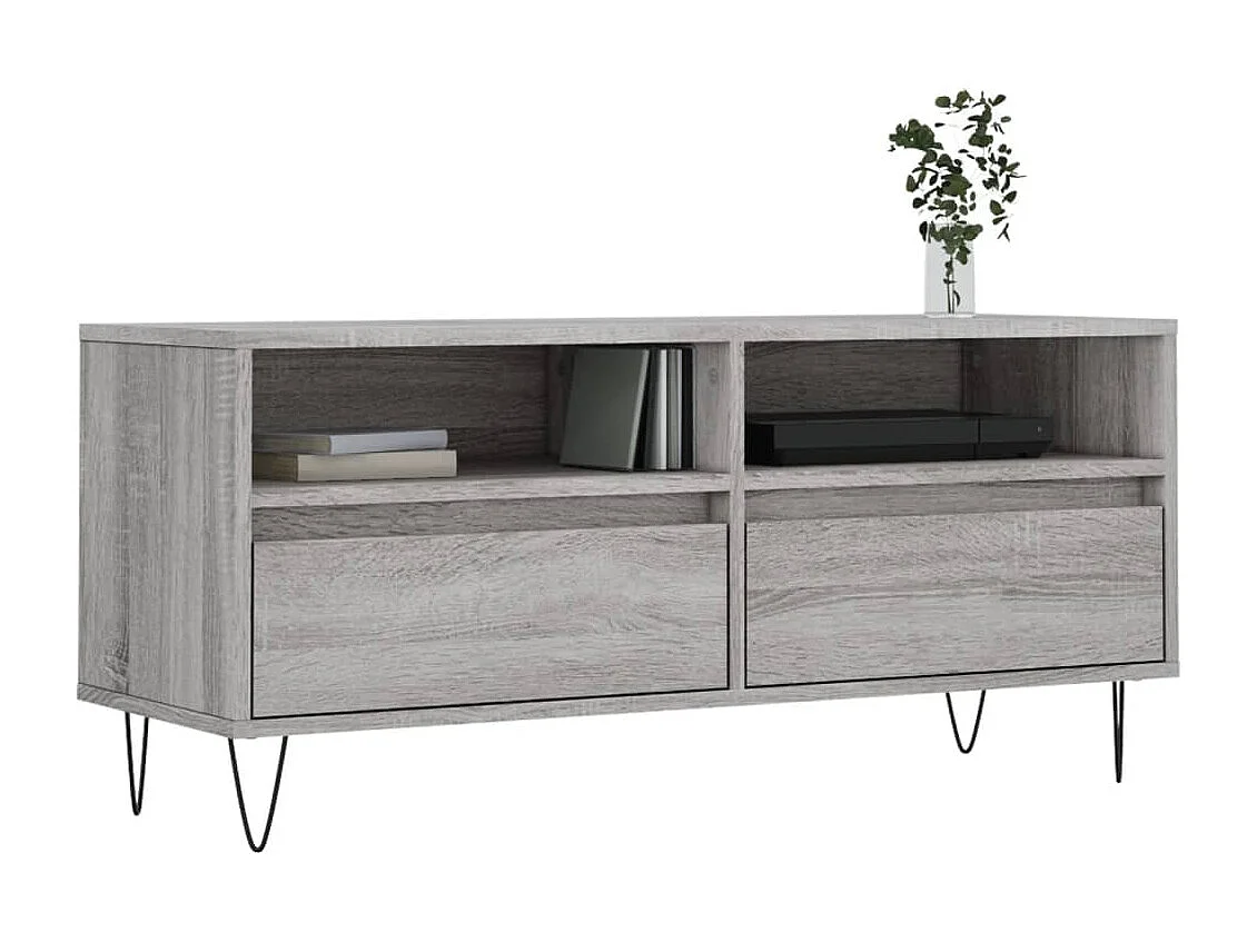 Mueble de TV | Mueble de salón madera contrachapada gris Sonoma 100x34,5x44,5 cm