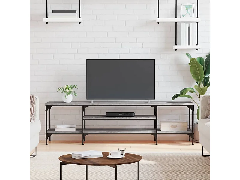 Mueble TV | Gabinete de TV | Mueble de salón hierro y madera contrachapada gris Sonoma 161x35x45cm