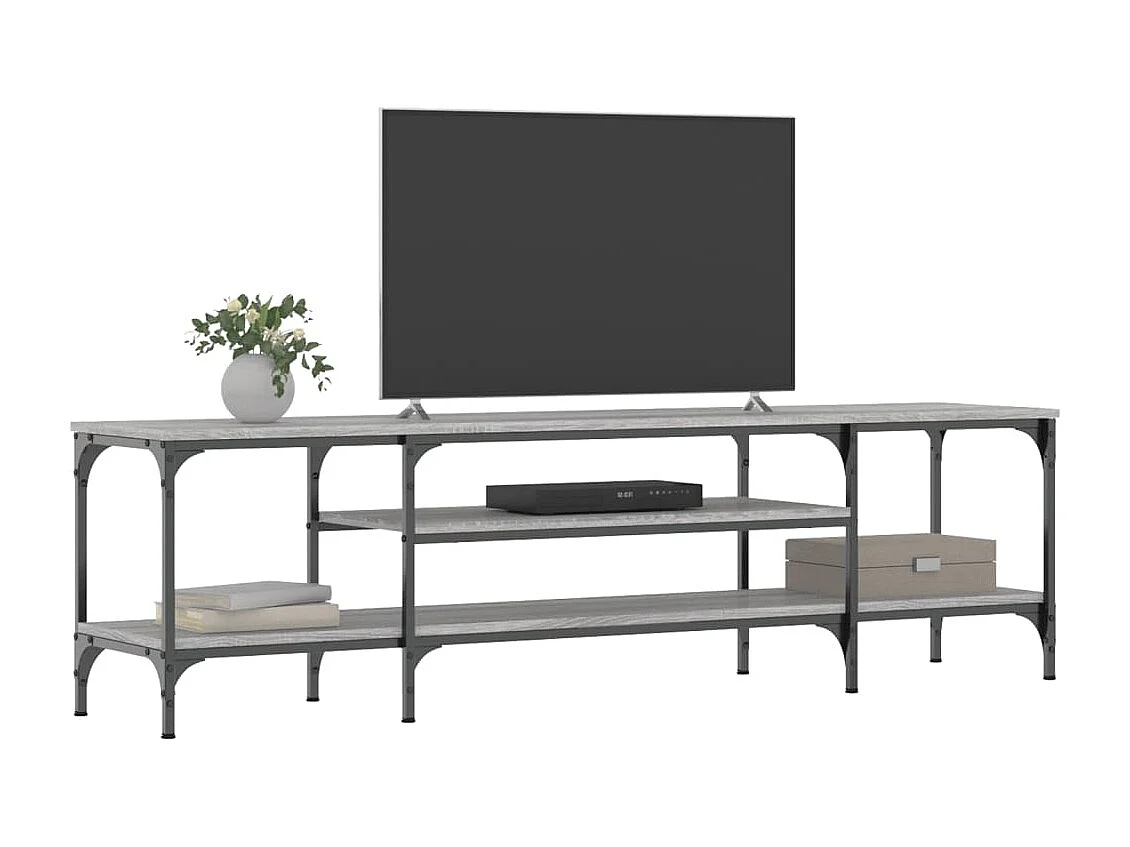 Mueble TV | Gabinete de TV | Mueble de salón hierro y madera contrachapada gris Sonoma 161x35x45cm