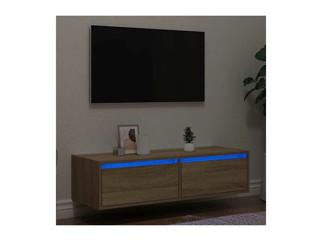 Mueble de TV | Mueble de salón con luces LED roble sonoma 100X35,5x25 cm