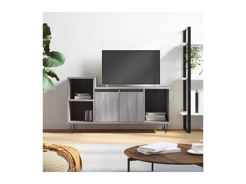 Mueble de TV | Mueble de salón madera contrachapada gris Sonoma 100x35x55 cm