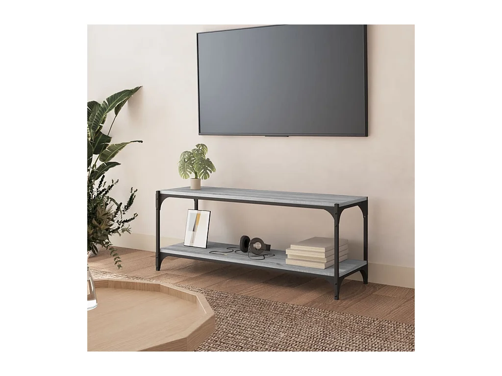 Mueble para TV  | Gabinete de TV |  Mueble de salón contrachapada y acero gris Sonoma 100x33x41 cm