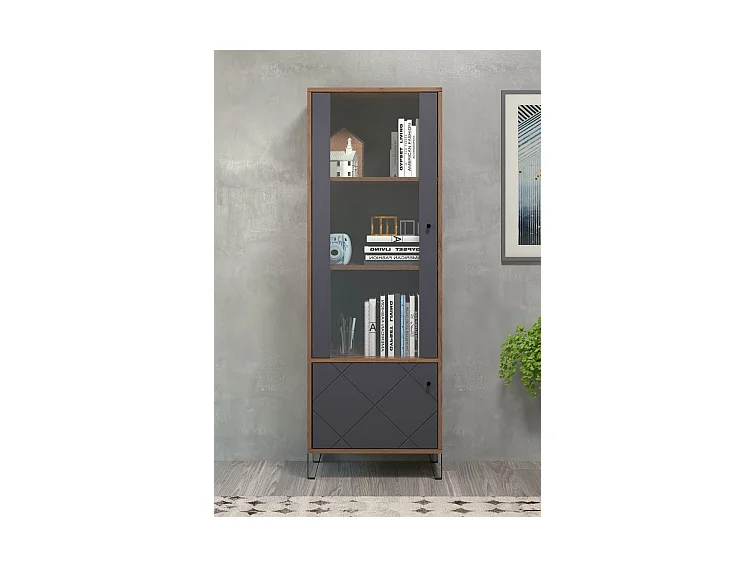 Montez Vitrinenschrank 2 Türen, graphite.