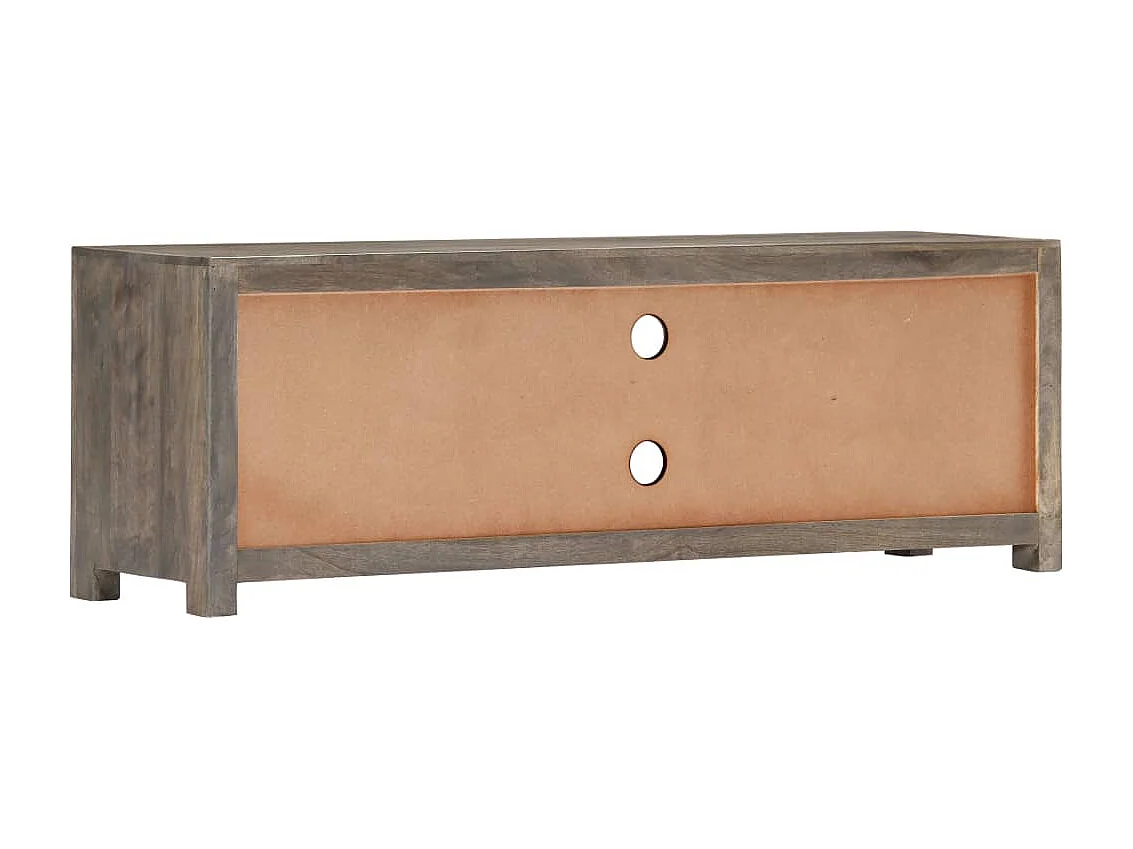 Meuble TV | Banc TV | Armoire TV Gris 120 x 30 x 40 cm Bois massif de manguier