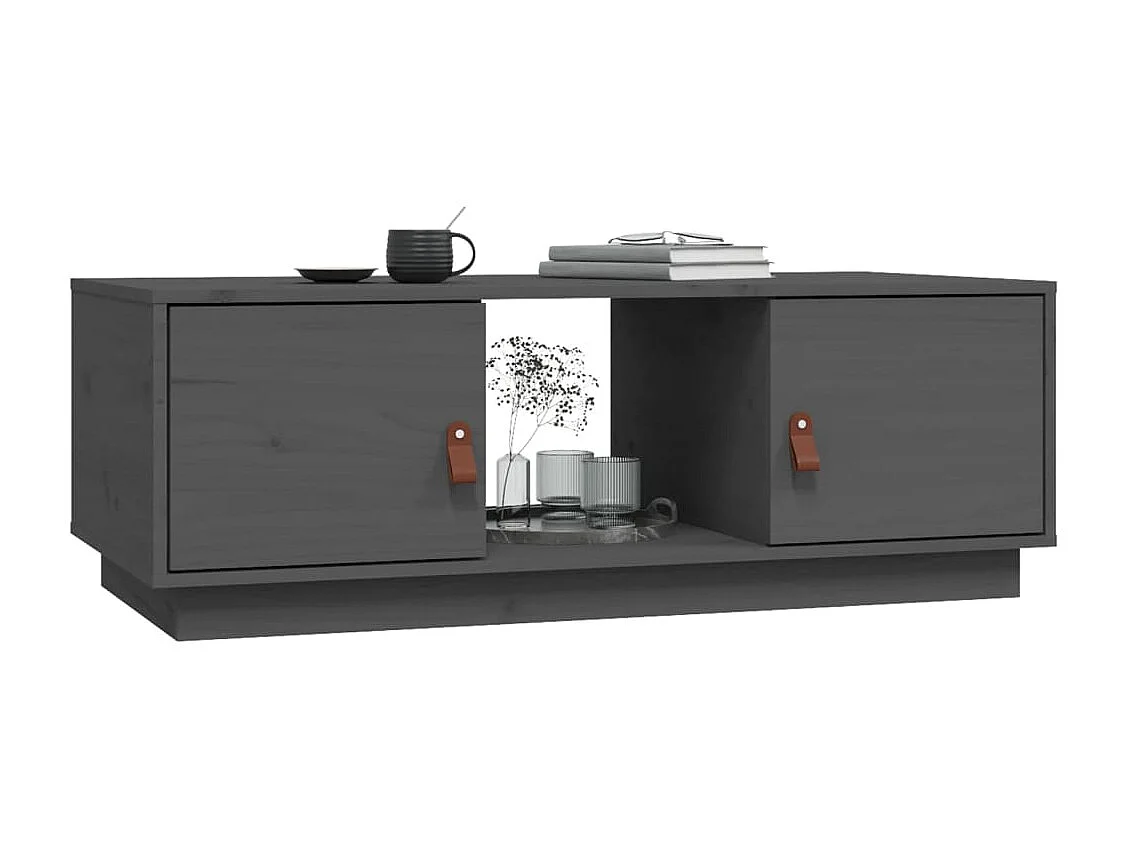 Couchtisch-Sofatisch-Beistelltische Grau 100x50x35 cm Massivholz Kiefer SHL79315