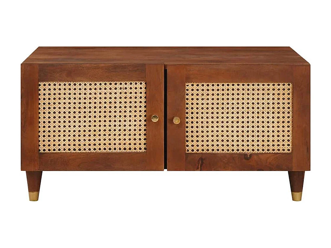 Couchtisch-Beistelltische-Sofatisch Braun 80x50x40 cm Rohr und massives Mangoholz SHL91787