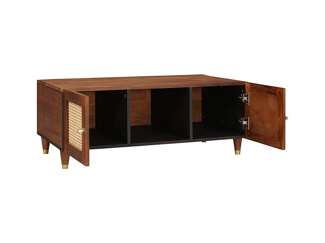 Table basse salon-Table d'appoint avec étagère+porte Marron 100x54x40 cm SHL11997