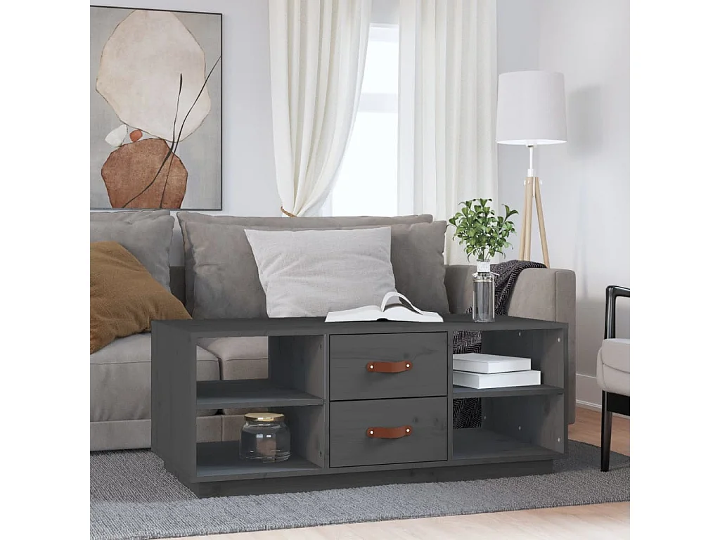 Couchtisch-Sofatisch-Beistelltische Grau 100x50x41 cm Massivholz Kiefer SHL73225