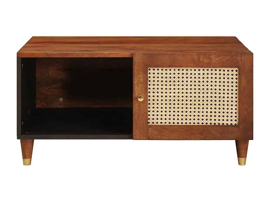 Couchtisch-Beistelltische-Sofatisch Braun 80x50x40 cm Rohr und massives Mangoholz SHL94624