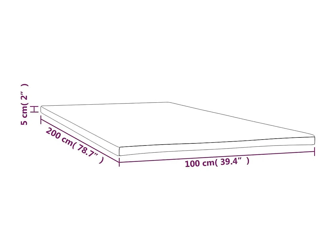 Surmatelas  | Coussin de Matelas 100x200x5 cm