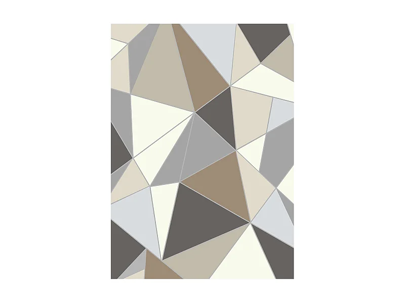 Tapis Salon SucceBuy, 1,5 x 2,1 m, Grand Tapis Chambre Lavable Antidérapant, Doux Confortable, Style Moderne, pour Chambre, Gris Anthracite