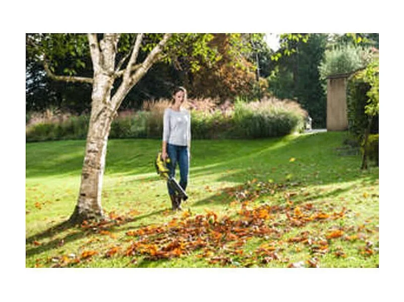 RYOBI Souffleur 18 V 1 Bat 4Ah - Turbo Jet -160 Km/h - RBL18JB40F