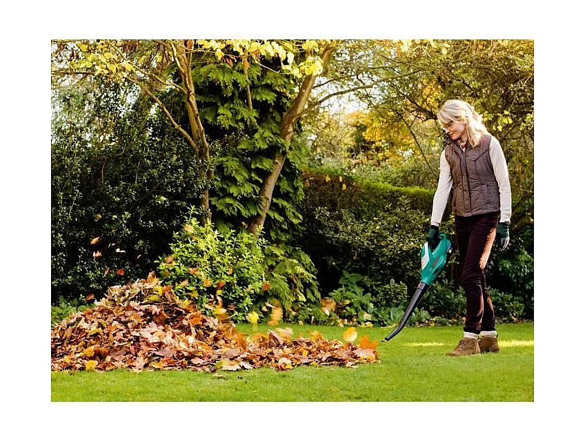 Souffleur sans fil Bosch – ALB 18 LI (1 batterie 18 V 2,5 Ah, 210 km/h)