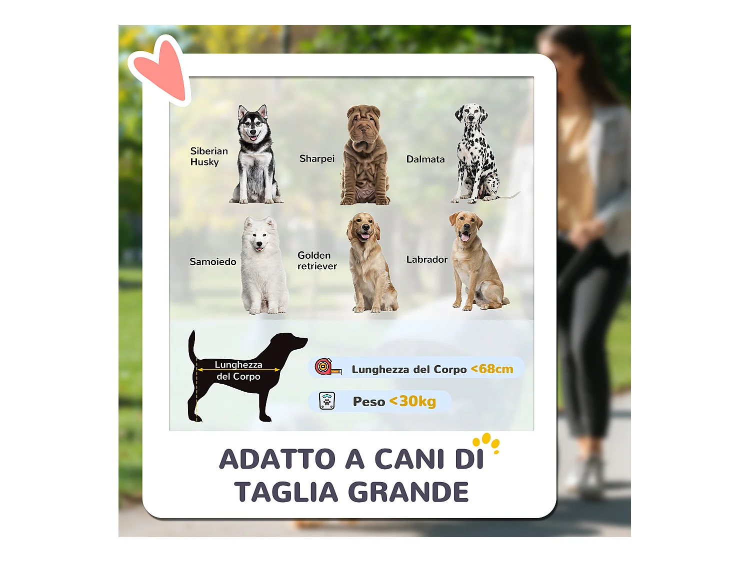 Passeggino per cani taglia grande pieghevole con cuscino grigio