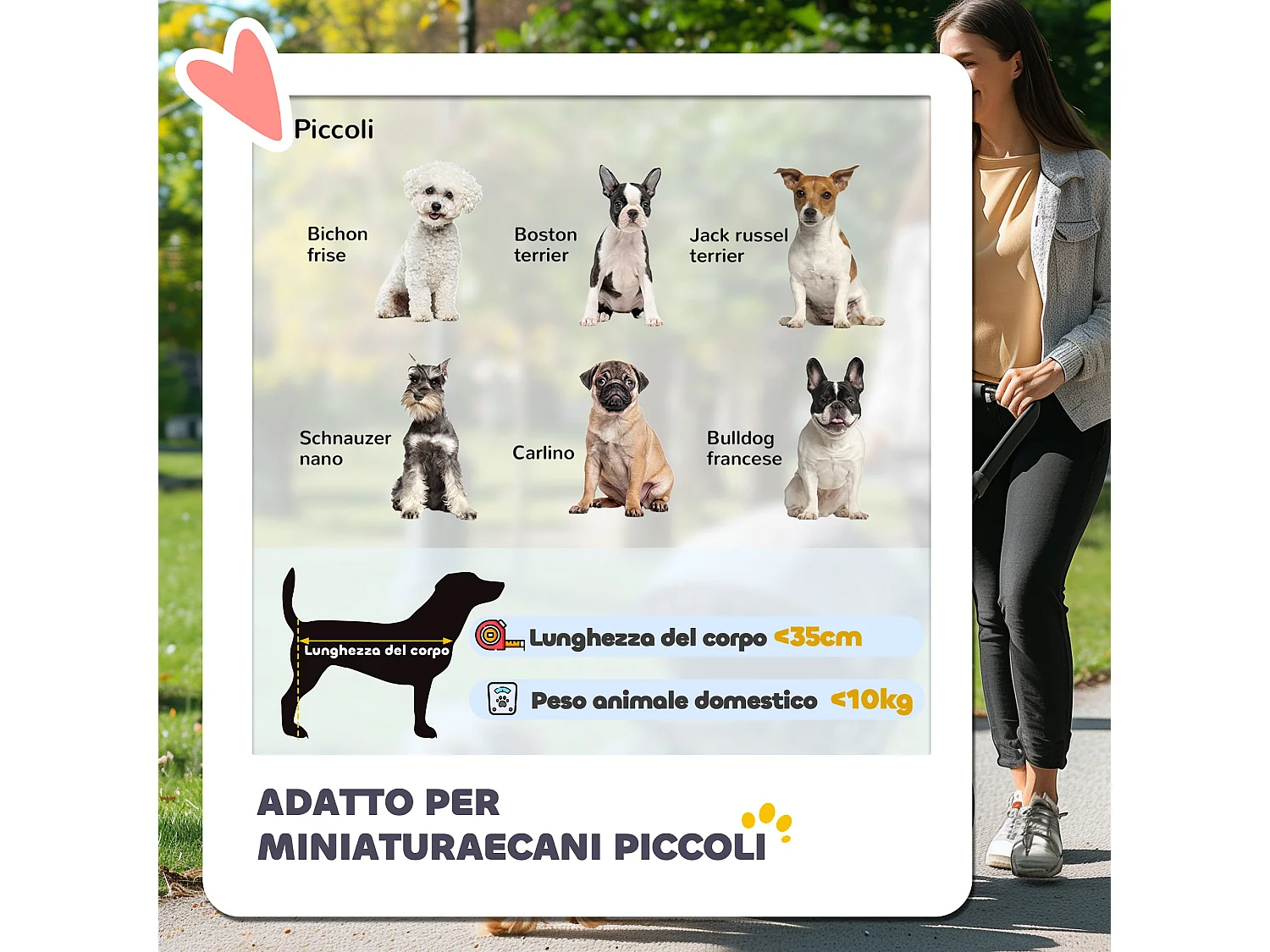 Passeggino per cani pieghevole con copertura antipioggia e freni grigio