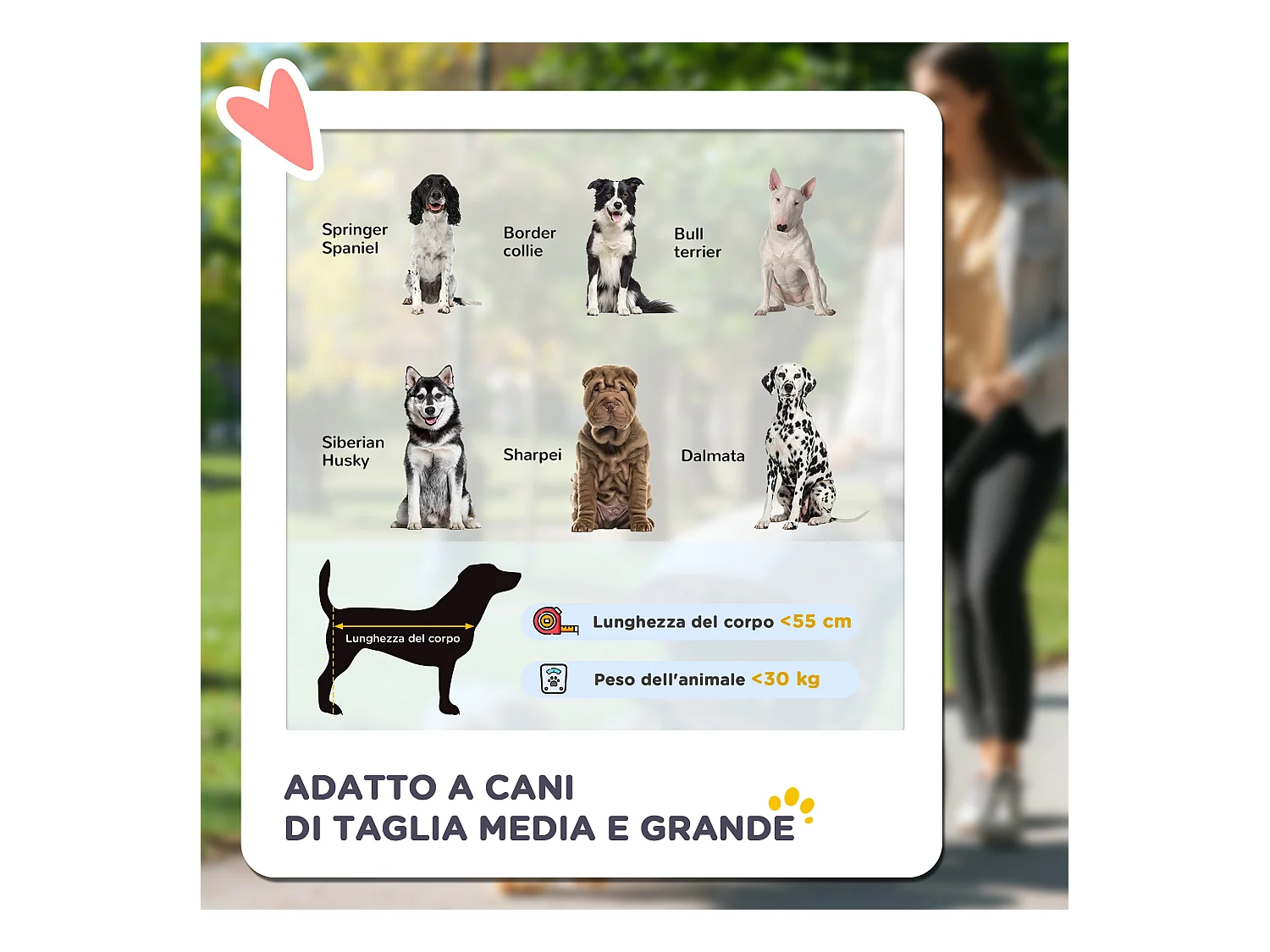 Passeggino per cani taglia media con 4 ruote e finestra a rete grigio