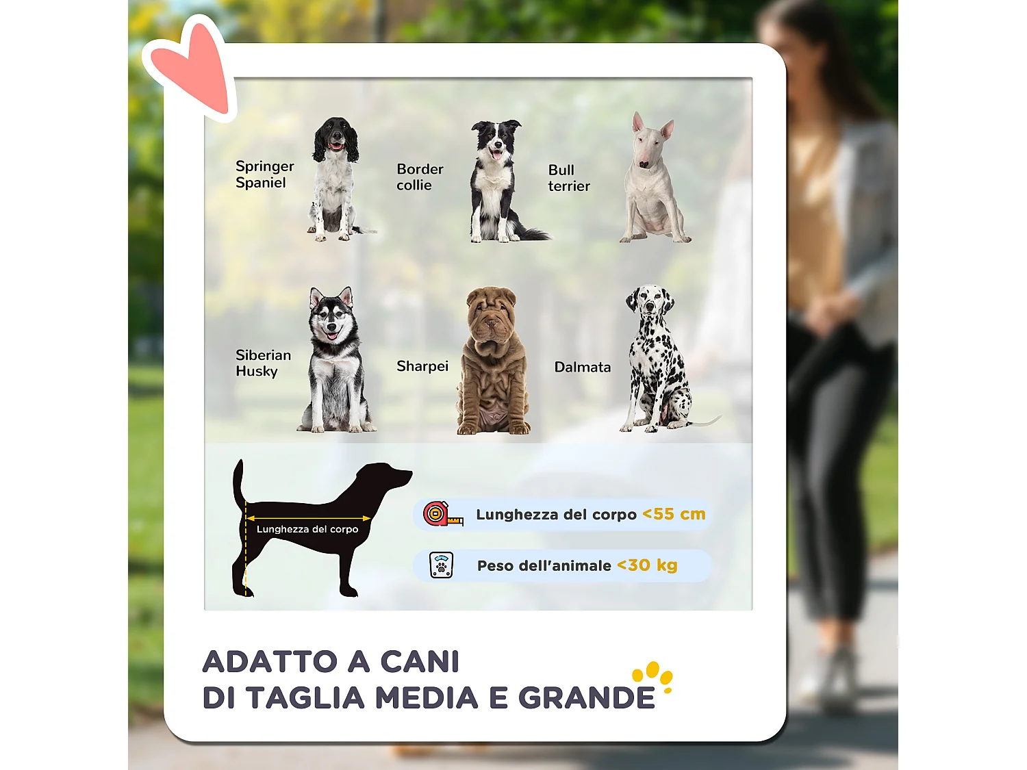 Passeggino per cani taglia media con 4 ruote e finestra a rete grigio