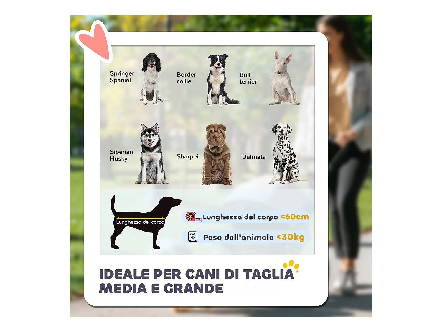 Passeggino pieghevole per cani taglia media con ingressi a cerniera