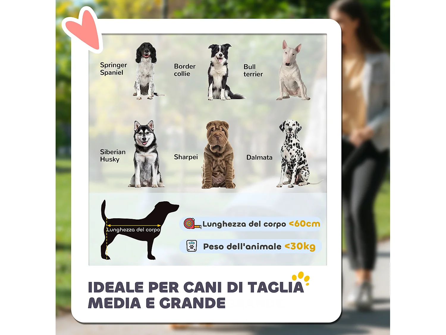 Passeggino pieghevole per cani taglia media con ingressi a cerniera