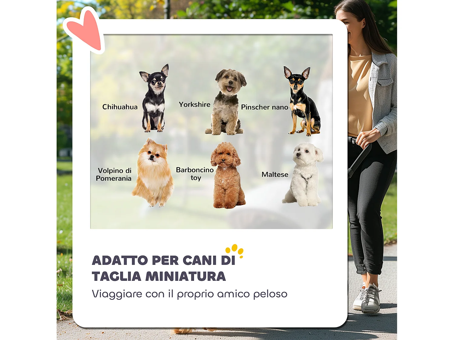 Passeggino per cani con 2 finestre a rete e guinzagli nero grigio chiaro