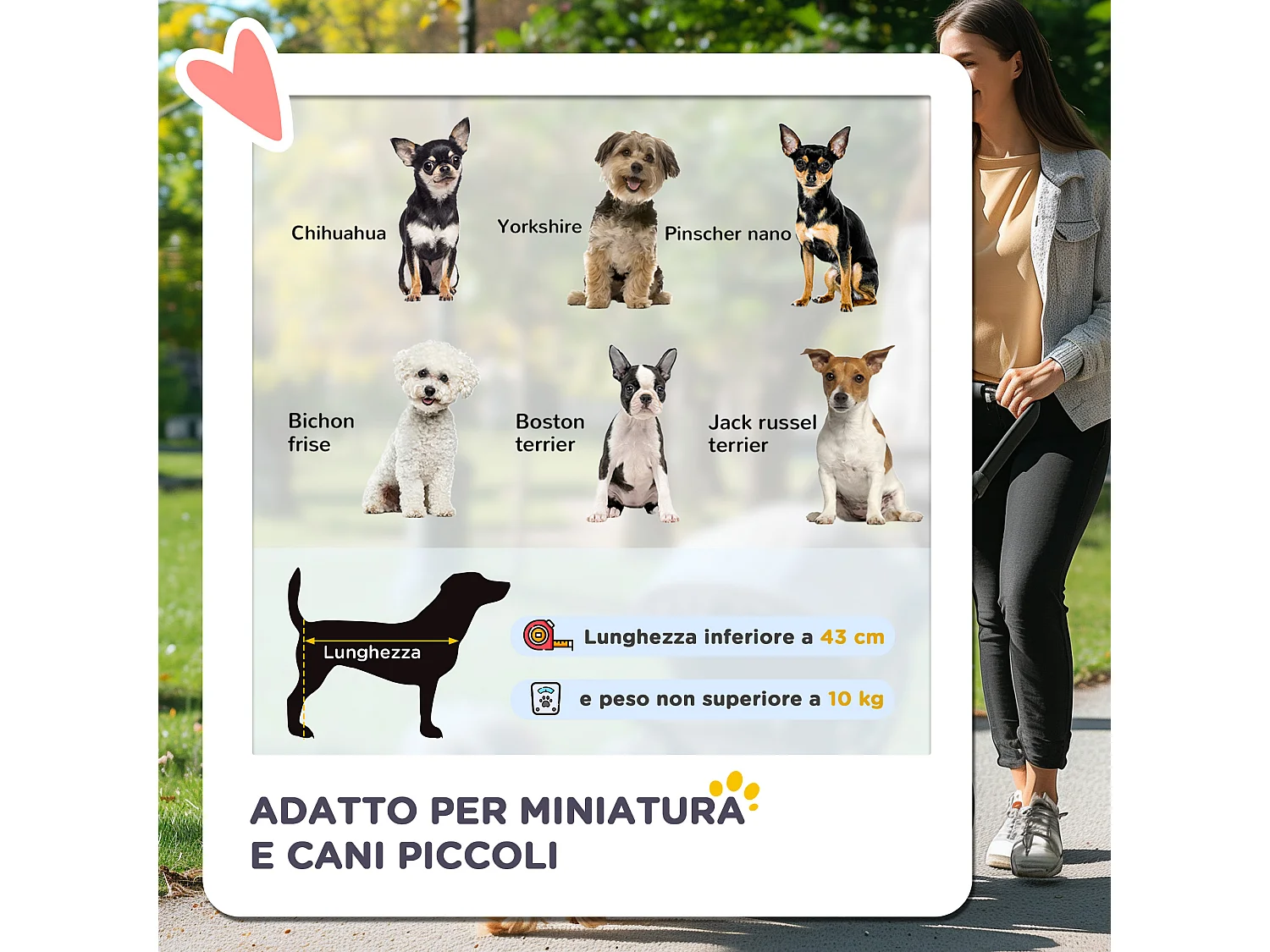 Passeggino per cani pieghevole con maniglione girevole e ruote in eva