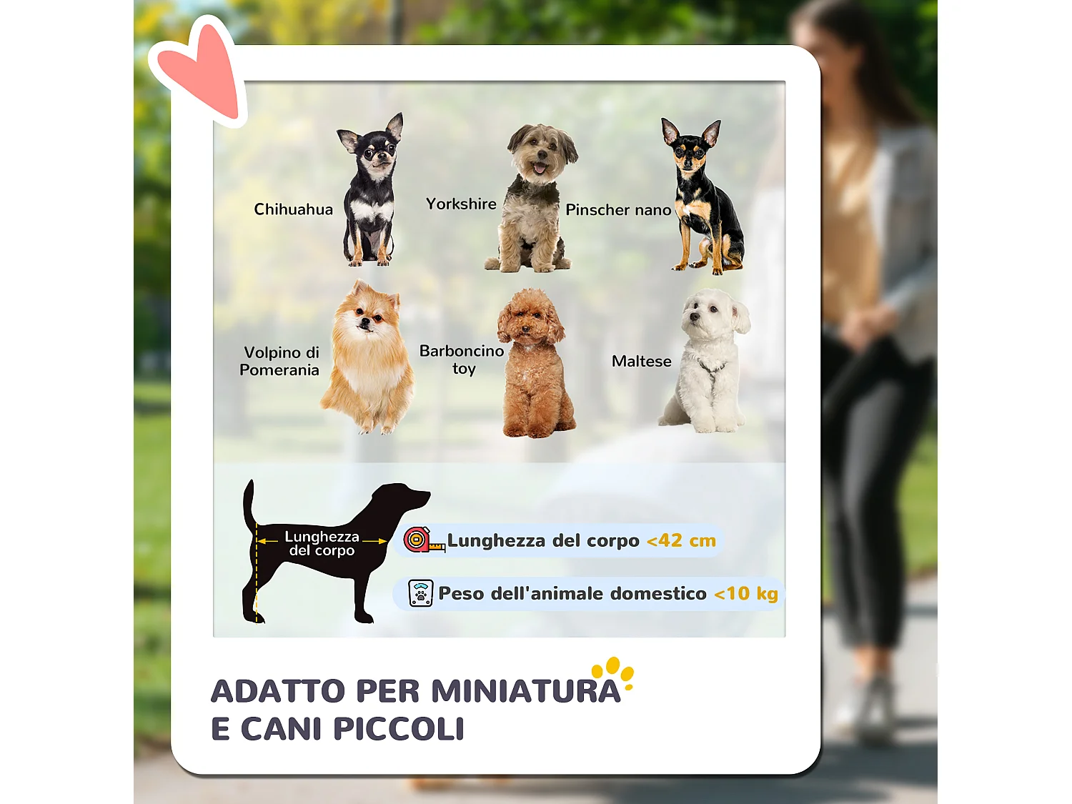Passeggino per cani con cesto, cuscino e 2 guinzagli nero e blu scuro