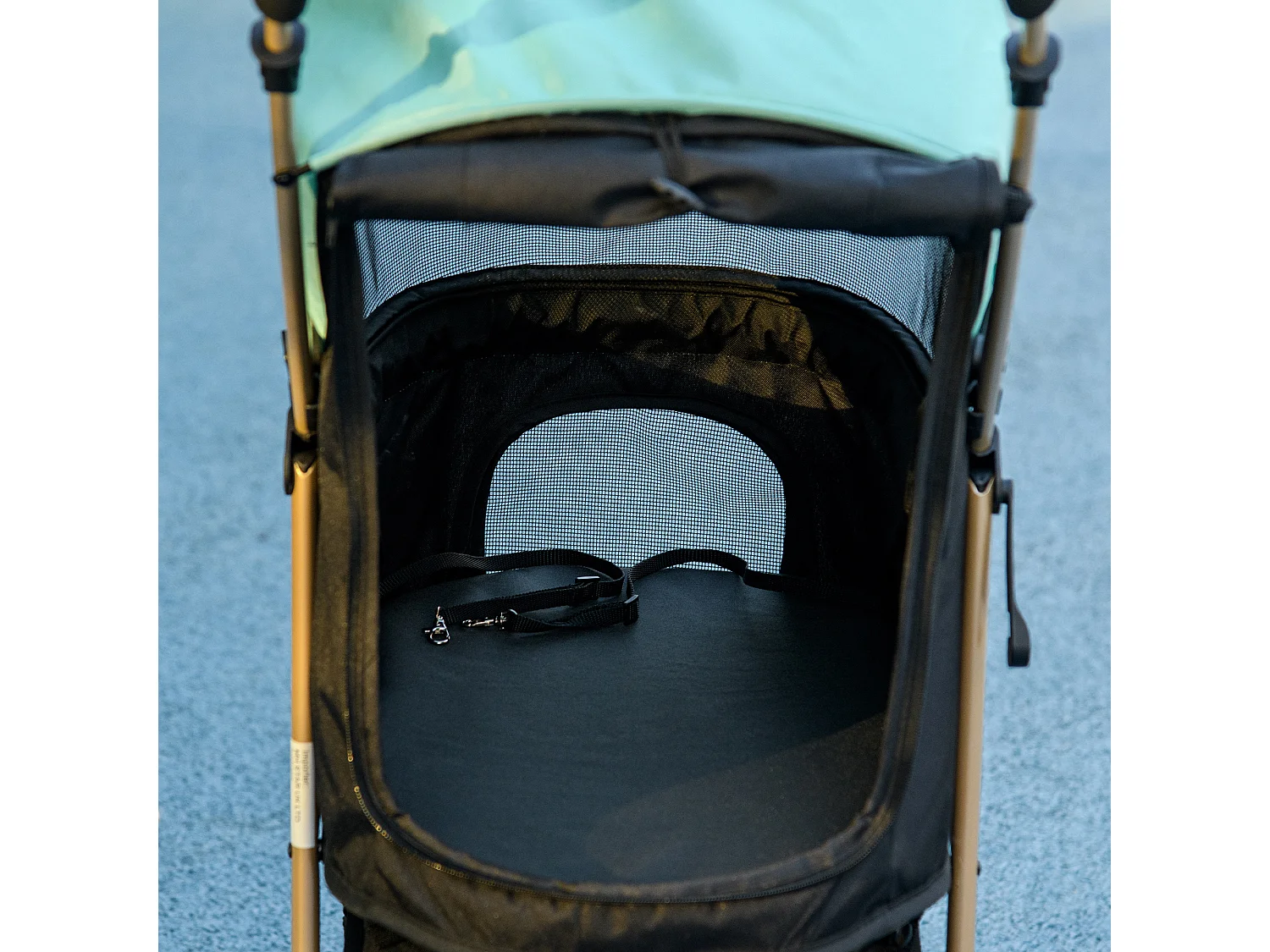 Passeggino cani pieghevole copertura antipioggia e guinzaglio verde